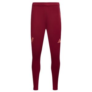 Pantalón adidas River Plate De Entrenamiento 24/25 De Hombre