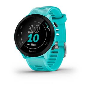 Reloj Garmin Forerunner 55 Gps